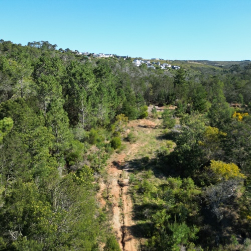 Country Haven in Town